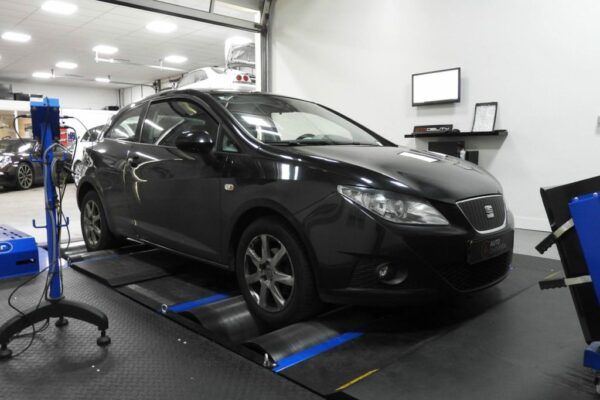 Seat Ibiza 1.2tdi EGR probleem